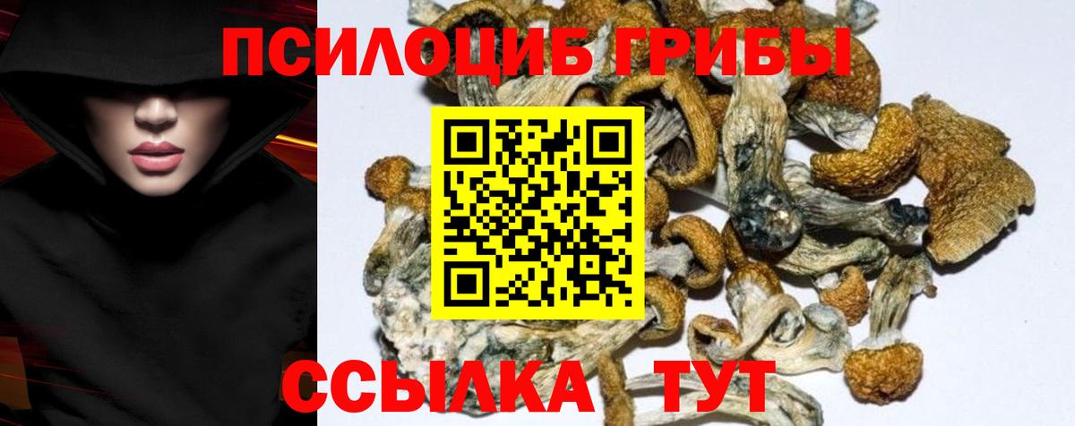 Галлюциногенные грибы мухоморы Мариинск